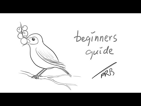 How to Draw a Wood Thrush | Sketching | Drawing | Outline Drawing | Pencil Drawing |Easy Drawing|Art