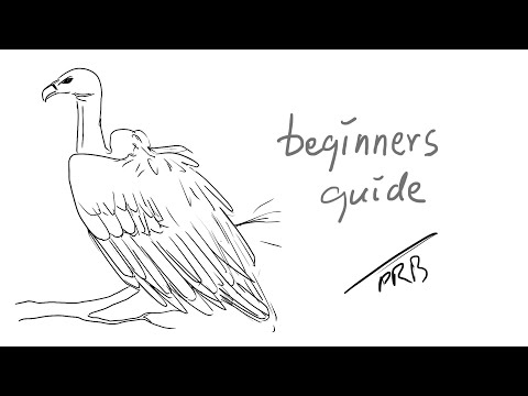 How to Draw a Vulture|Sketching|Drawing|Outline Drawing|Pencil Drawing |Easy Drawing|Sketch book|Art
