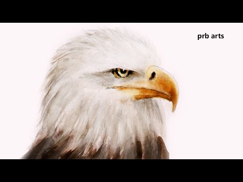 Eagle Head Watercolor Painting Tutorial Step by Step for Beginners