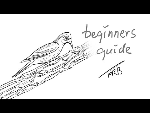 How to Draw a Yellow Bellied Sapsucker | Sketching | Outline Drawing | Easy Drawing | Pencil Drawing