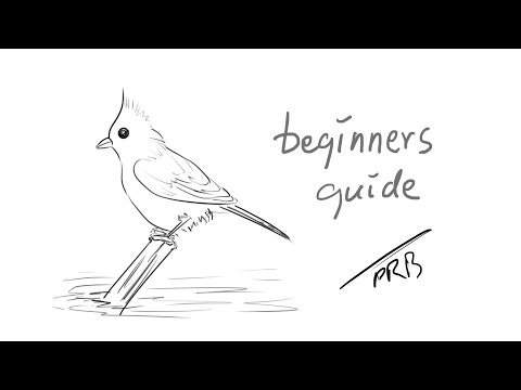 How to Draw a Tufted Titmouse|Sketching|Drawing|Outline Drawing|Pencil Drawing|Easy Drawing|Sketches