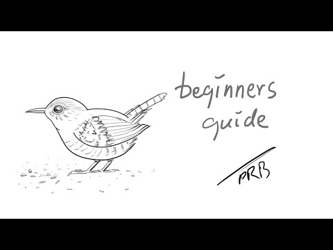How to Draw a Wren|Sketching|Drawing|Outline Drawing|Pencil Drawing|Easy Drawing|Art|Sketch book|Fun