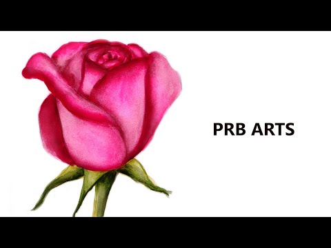 Rose Flower Watercolor Painting Tutorial for Beginners