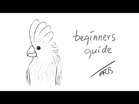 How to Draw an Umbrella Cockatoo| Sketching | Outline Drawing | Easy Drawing | Pencil Drawing|Sketch