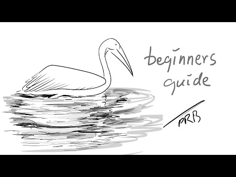 White Pelican on Water Sketch | Sketching | Digital Drawing | Easy Drawing | Easy Sketch | Art