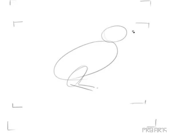 learn how to draw a tui bird step by step tutorial - 05