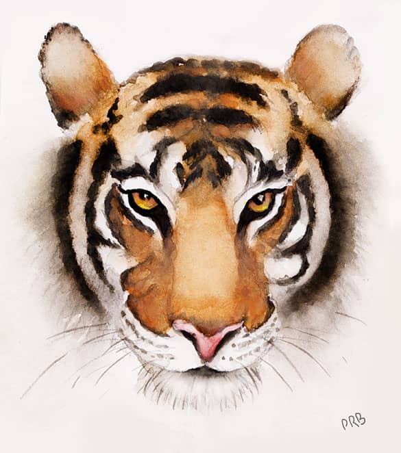 tiger face watercolor paintng