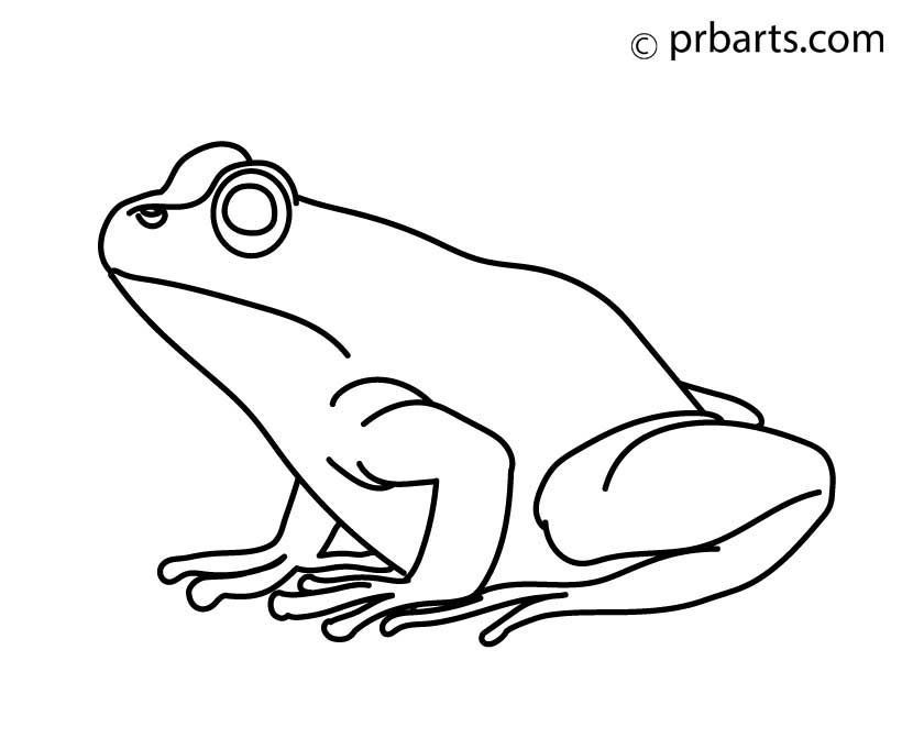 How to Draw a Simple Frog - DrawingNow