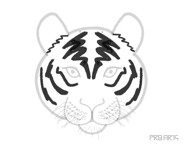 Tiger Face Drawing Tutorial for beginners - Easy Step by Step Complete Guide - Step 12
