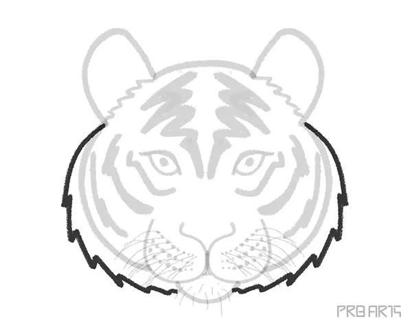 Tiger Face Drawing Tutorial for beginners - Easy Step by Step Complete Guide - Step 13