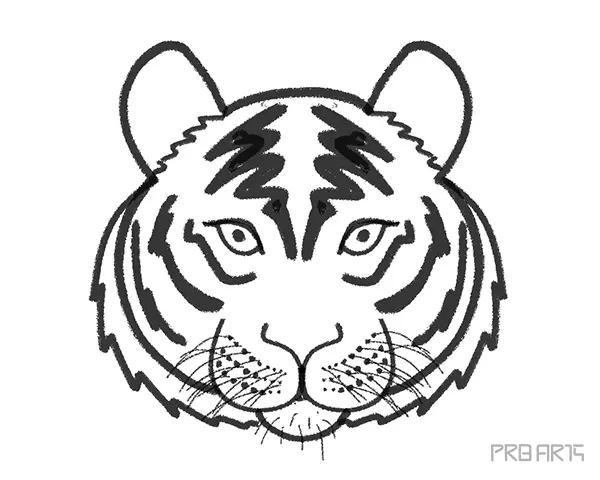Tiger Pounce, tiger head vector drawing, tiger face , tiger head colored  drawing, Tiger Logo and Mascot, Tiger Fangs,Black White Vector Illustration  5197999 Vector Art at Vecteezy