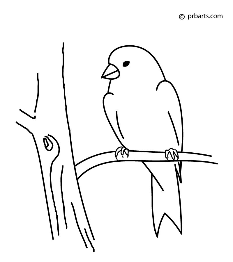 red canary bird drawing sitting on tree stem