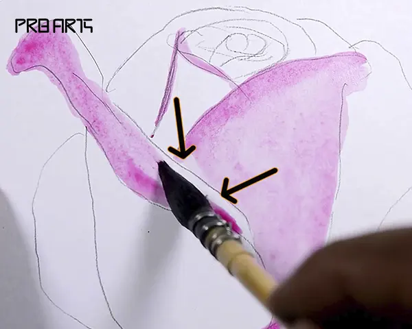 rose painting - how to draw a rose - easy step by step - 02