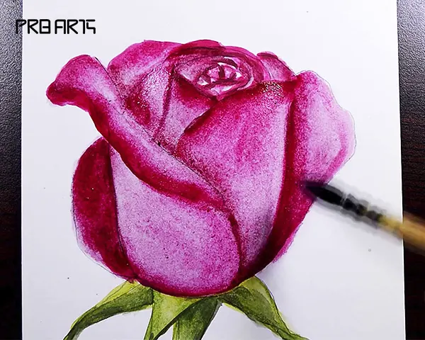 rose painting - how to draw a rose - easy step by step - 08