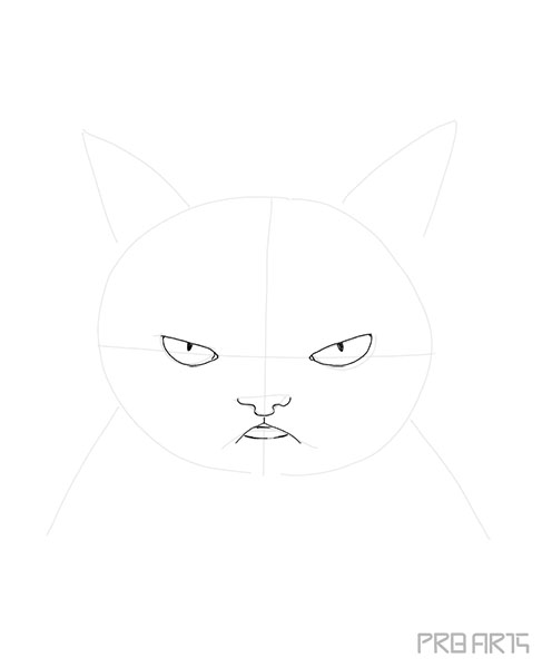 How to draw angry cat 