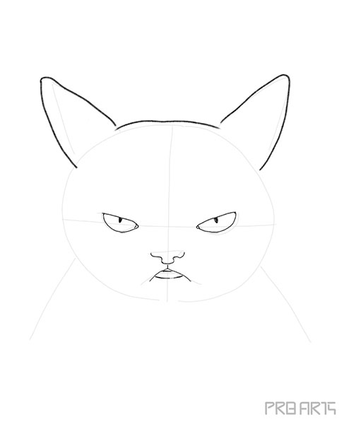 How to draw Angry Cat Face 