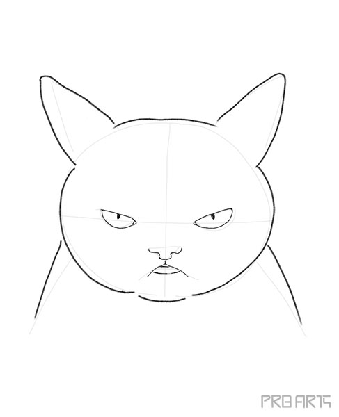 mad cat drawing