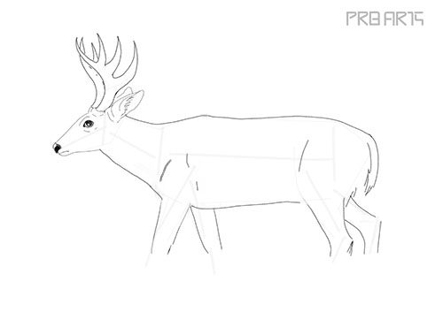 deer drawing side view