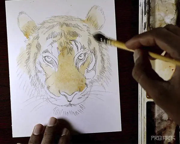 tiger face watercolor painting - step 02