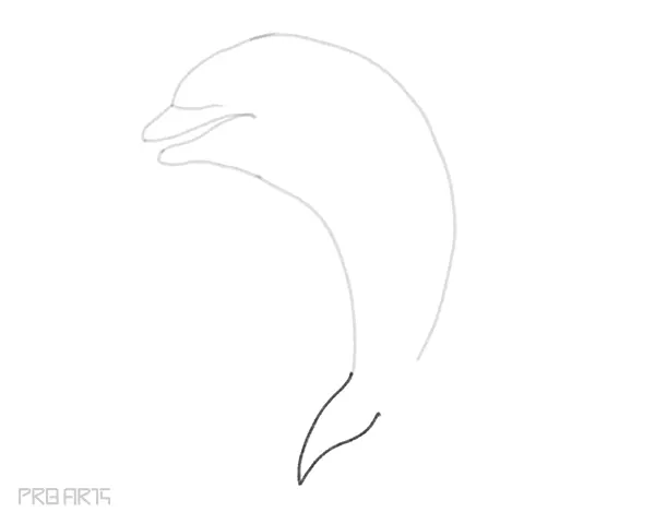 how to draw a dolphin easy step by step drawing guide for beginners - step 09