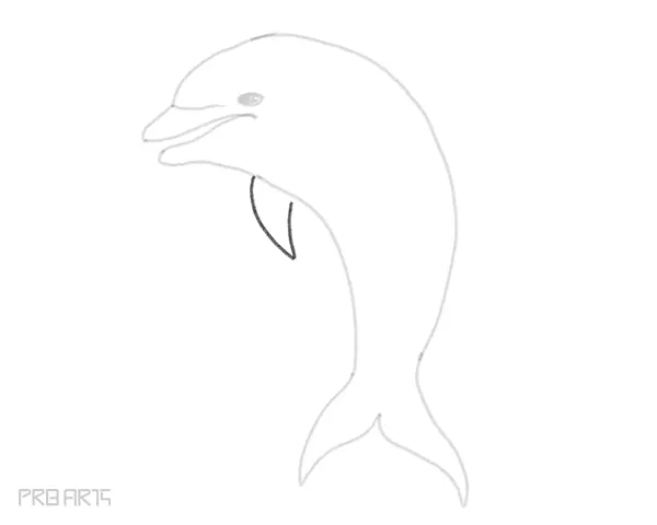 how to draw a dolphin easy step by step drawing guide for beginners - step 12