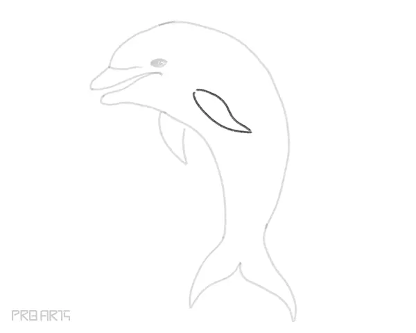 how to draw a dolphin easy step by step drawing guide for beginners - step 13