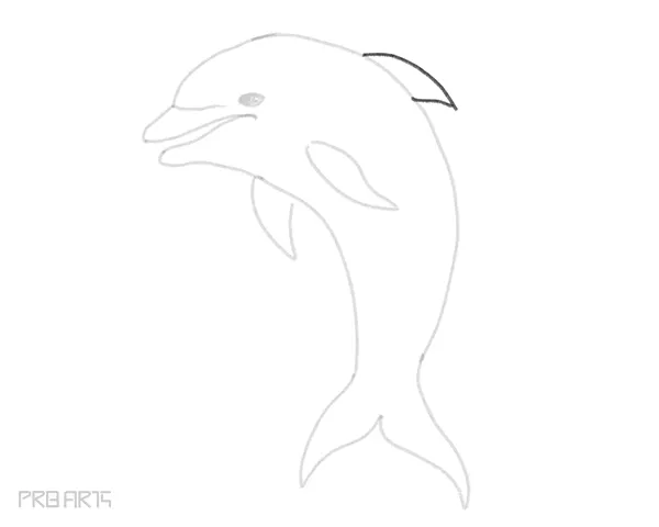 how to draw a dolphin easy step by step drawing guide for beginners - step 14