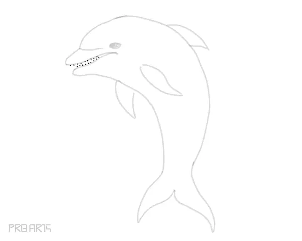 how to draw a dolphin easy step by step drawing guide for beginners - step 15