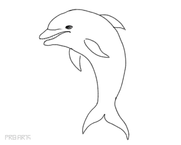 how to draw a dolphin easy step by step drawing guide for beginners - step 16