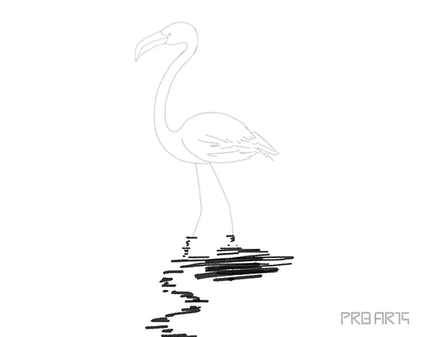 flamingo drawing water reflection outline