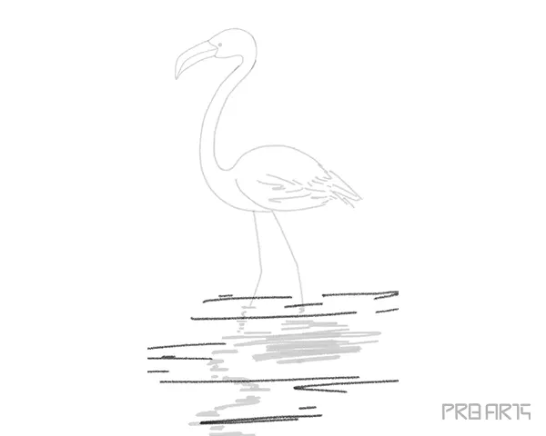 flamingo drawing outline sketch