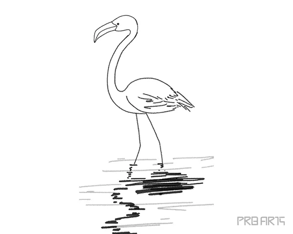 flamingo drawing outline