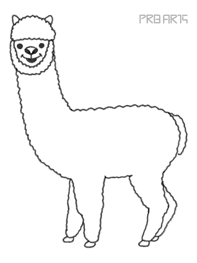 Alpaca Drawing for kids - PRB ARTS