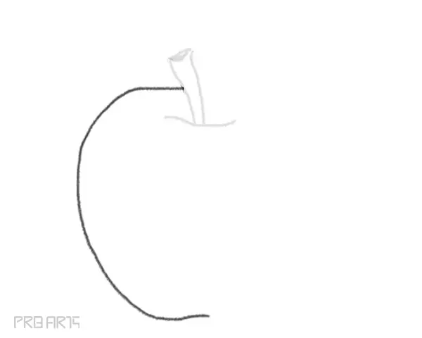 learn how to draw an apple easy step by step drawing guide for beginners - step 05