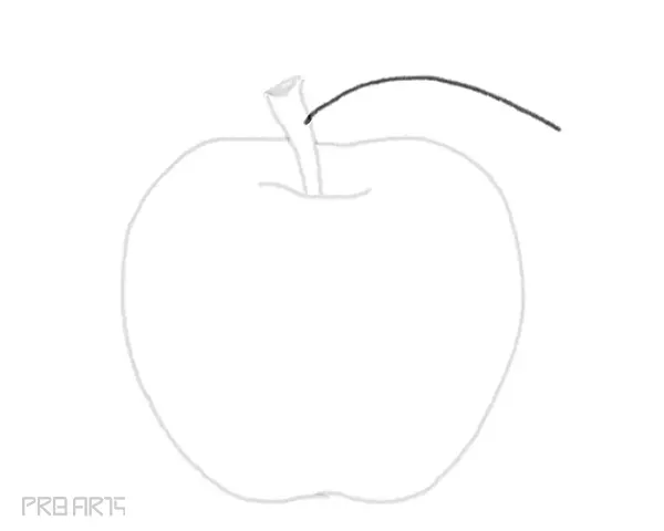 learn how to draw an apple easy step by step drawing guide for beginners - step 07