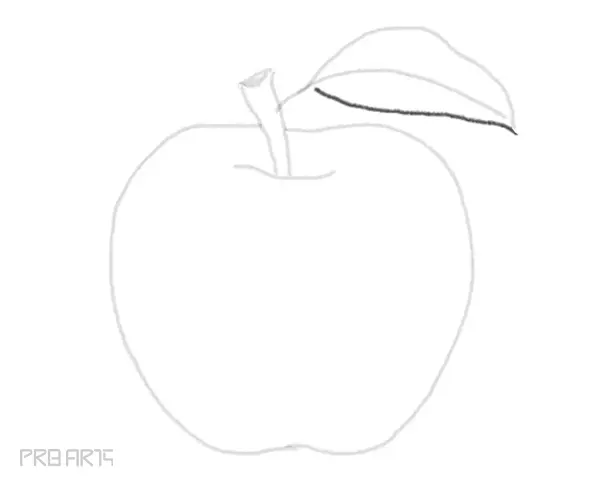 learn how to draw an apple easy step by step drawing guide for beginners - step 09
