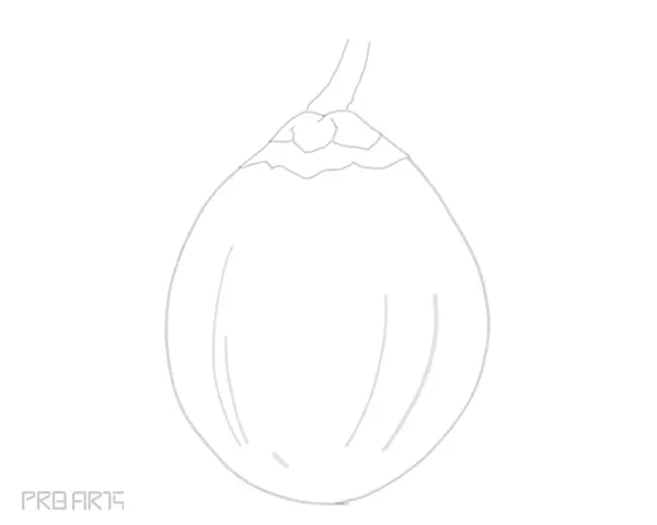 learn how to draw a coconut step by step tutorial guide for beginners - step 09