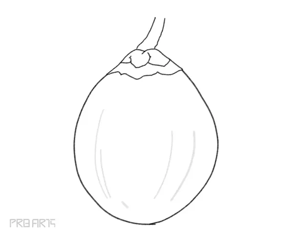 learn how to draw a coconut step by step tutorial guide for beginners