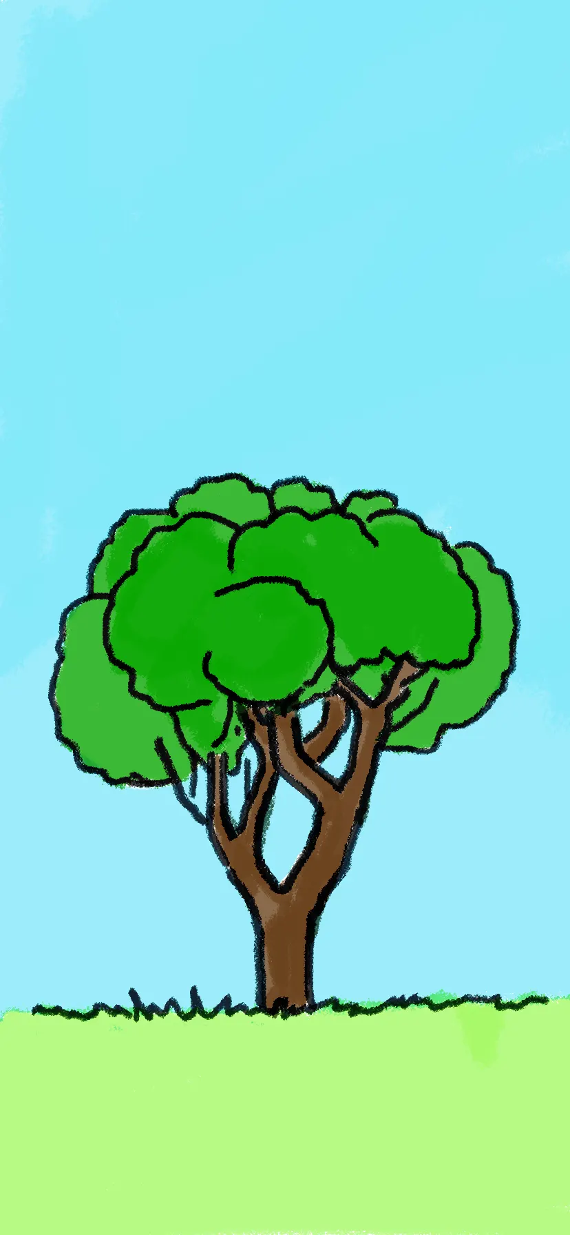 Simple Tree Drawing Step by Step || How to draw a Tree Easy-saigonsouth.com.vn