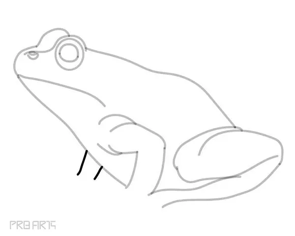learn how to draw a frog - easy frog drawing - step by step - 20