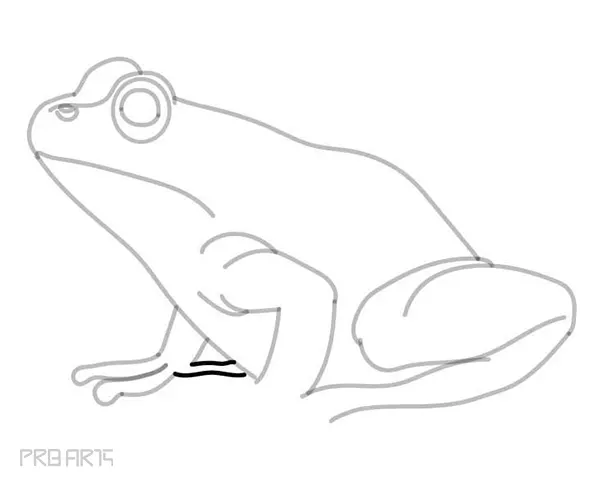 learn how to draw a frog - easy frog drawing - step by step - 23