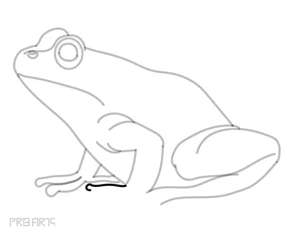 learn how to draw a frog - easy frog drawing - step by step - 24