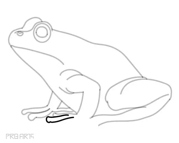learn how to draw a frog - easy frog drawing - step by step - 25