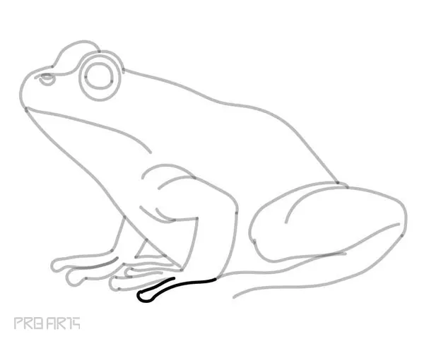 learn how to draw a frog - easy frog drawing - step by step - 26