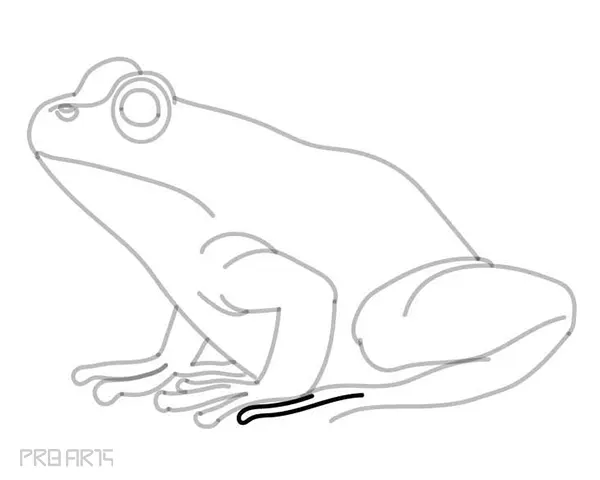 learn how to draw a frog - easy frog drawing - step by step - 27