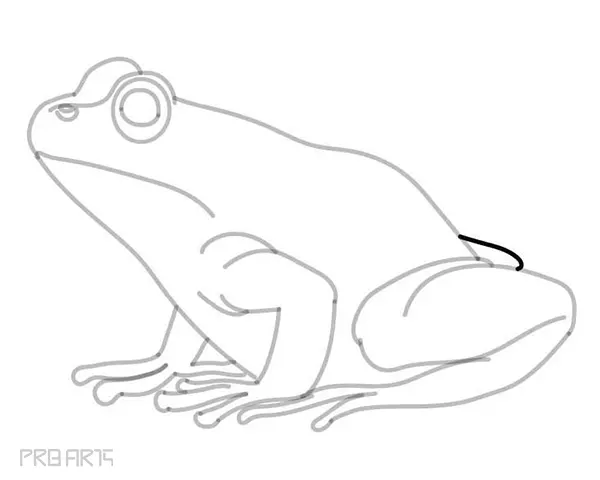 learn how to draw a frog - easy frog drawing - step by step - 29