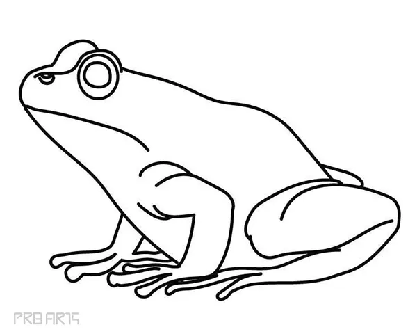 learn how to draw a frog - easy frog drawing - step by step