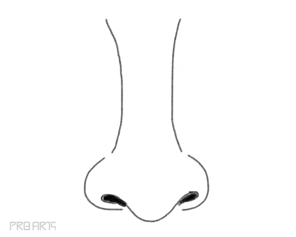 learn how to draw a nose easy step by step for beginners
