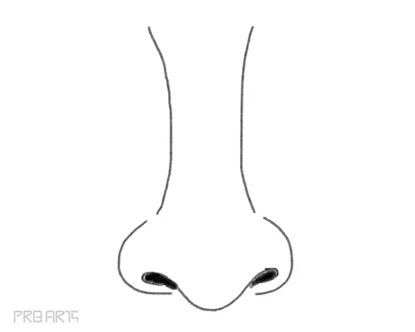 Nose Drawing How To Draw A Nose PRB ARTS | atelier-yuwa.ciao.jp