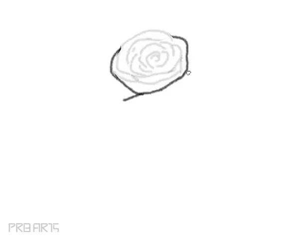 rose drawing step by step tutorial - step 11